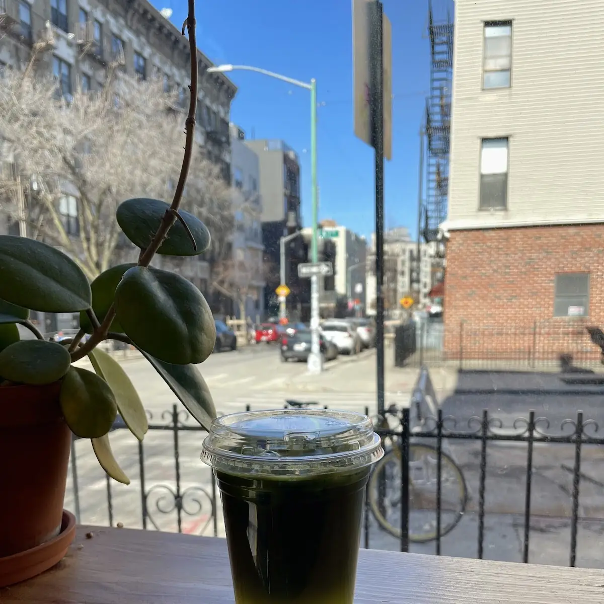 Jasmine Green Tea