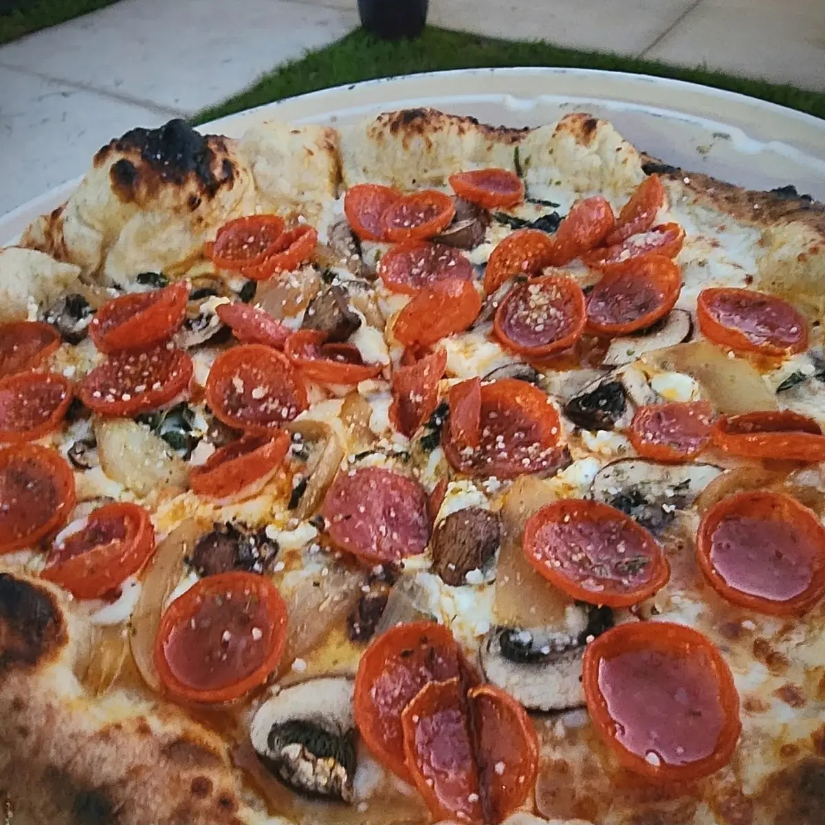 My Favorite Pizza
