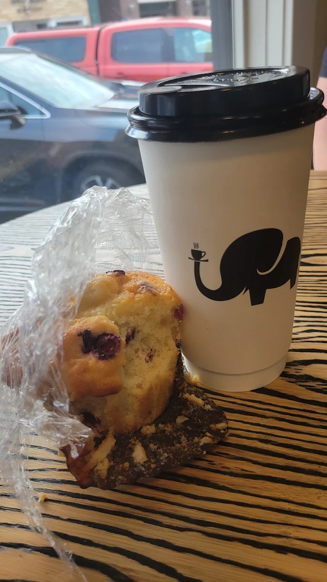 Blueberry Muffin