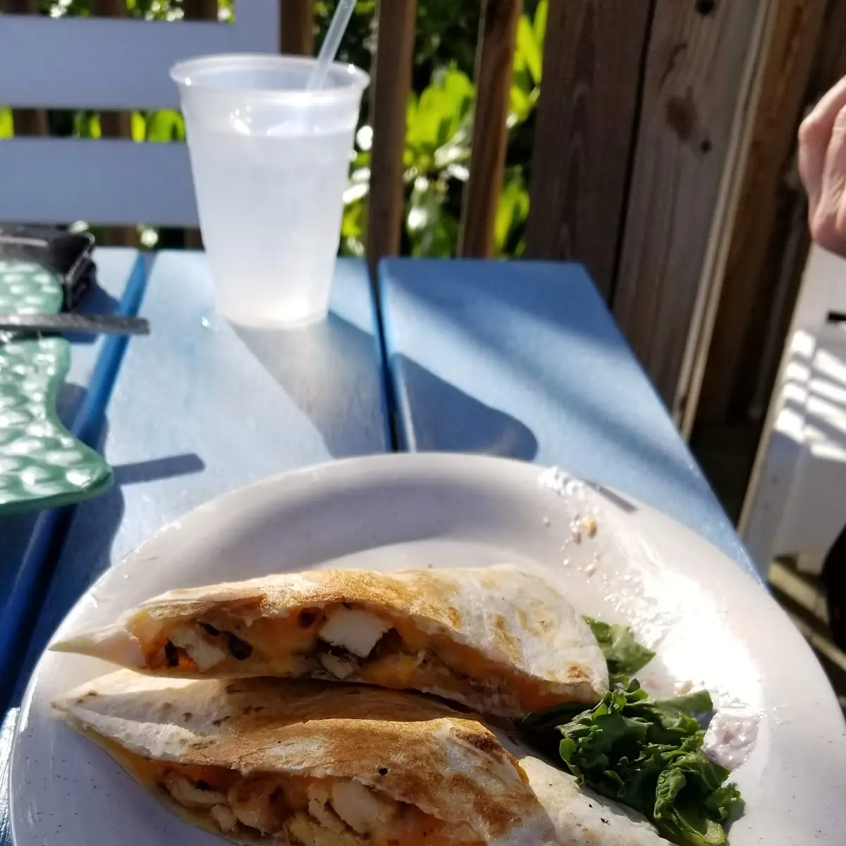Chicken Quesadilla