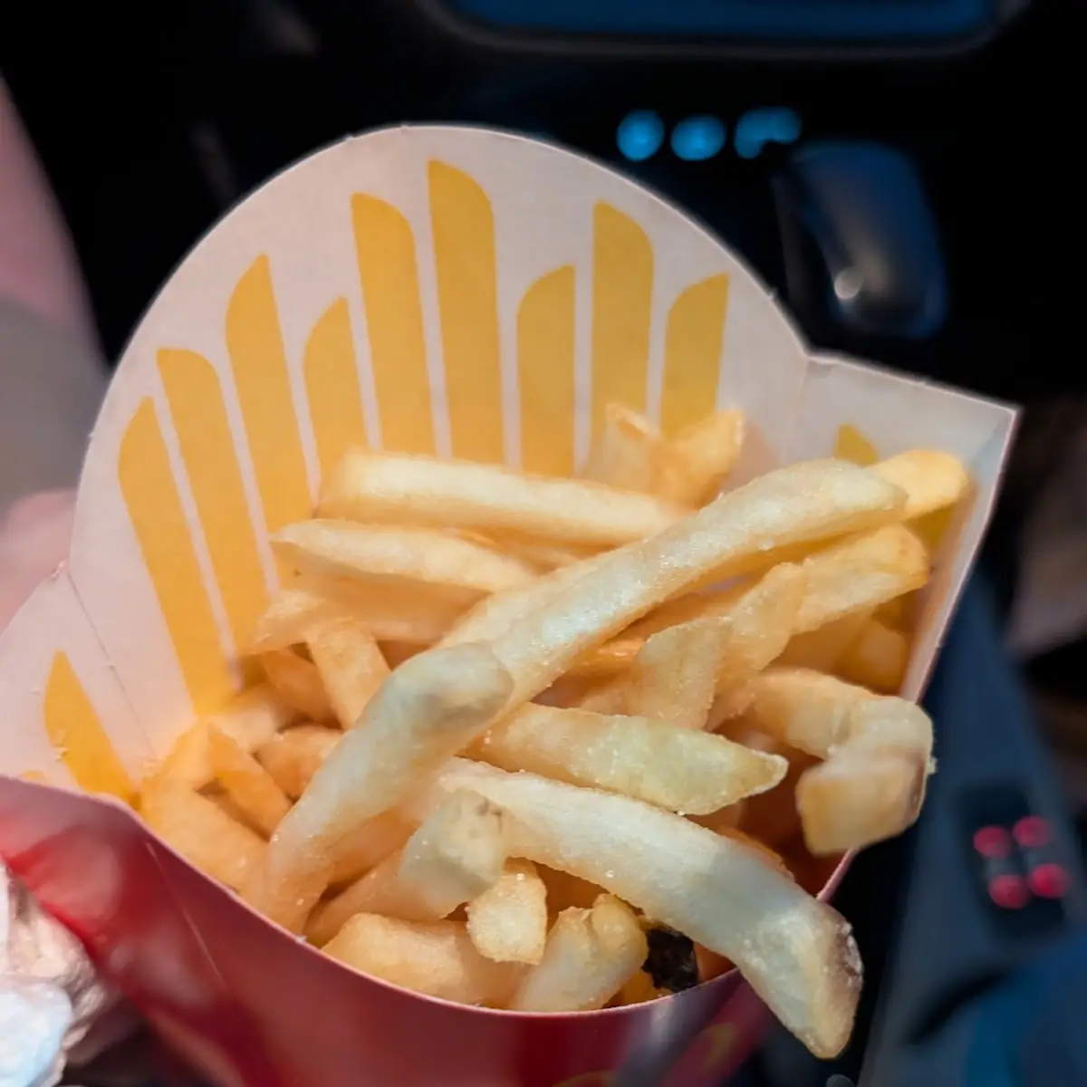 World Famous Fries
