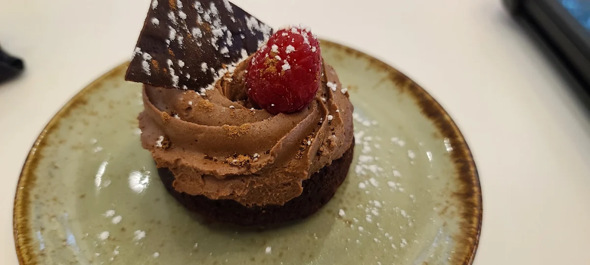 Double Chocolate Mini Bundt Cake