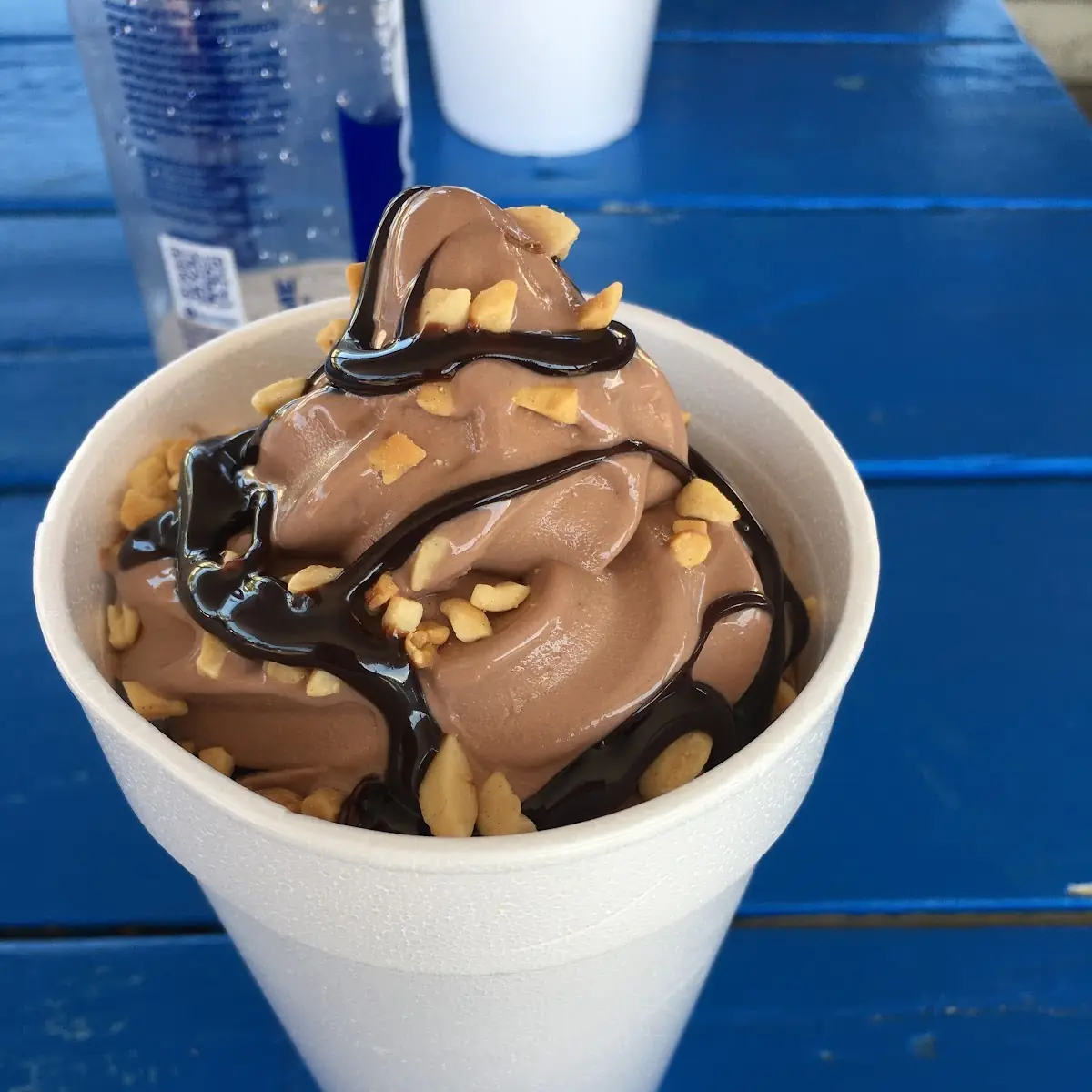 Hot Fudge Chocolate Sundae with Peanuts