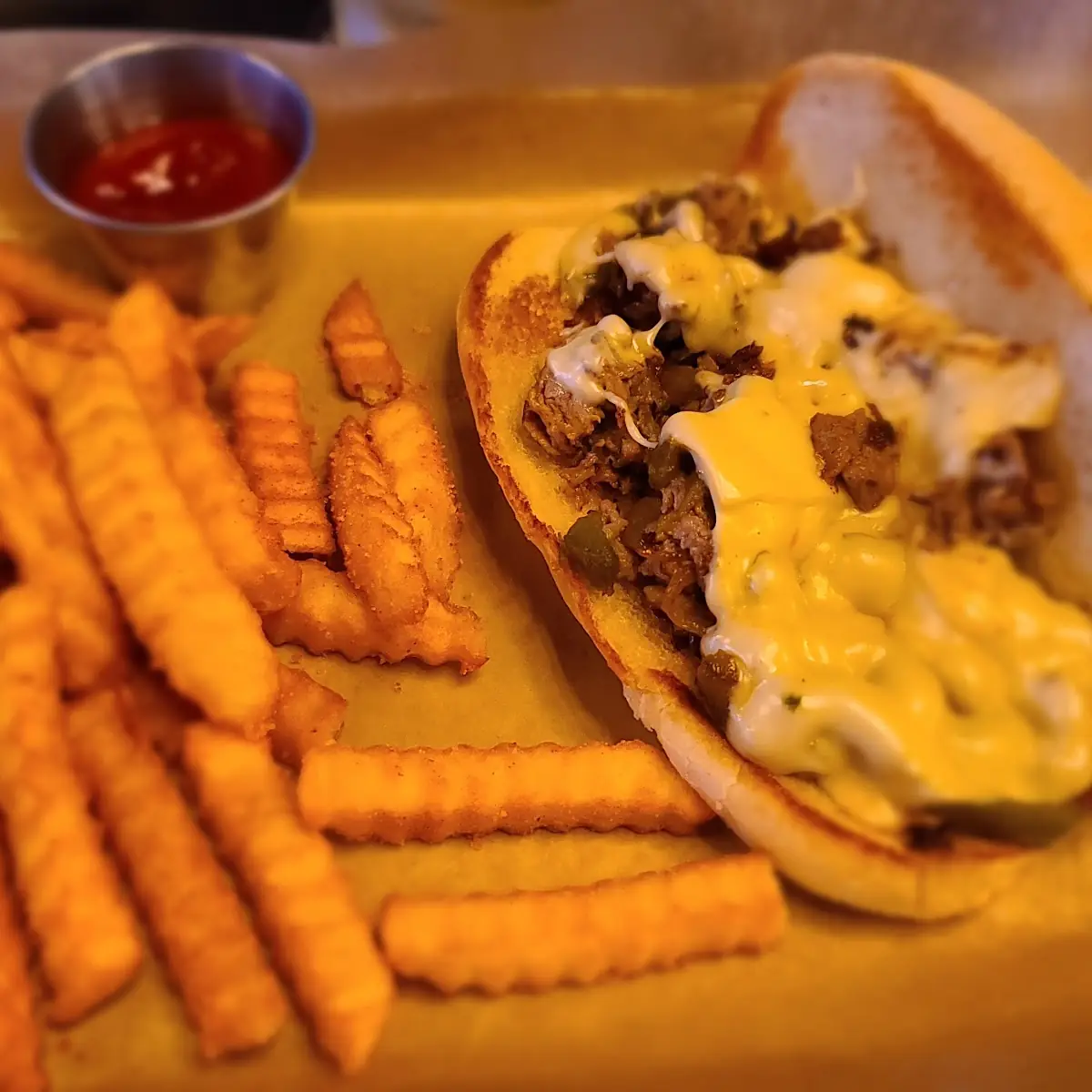 Philly Cheese Steak and Fries