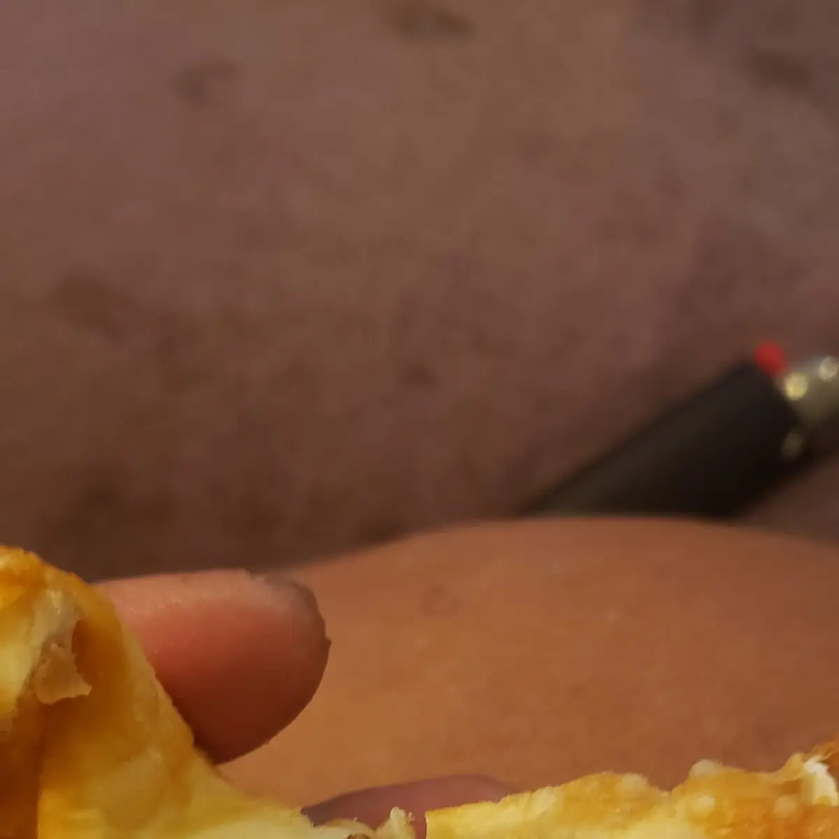 Cream Cheese Fried Wonton