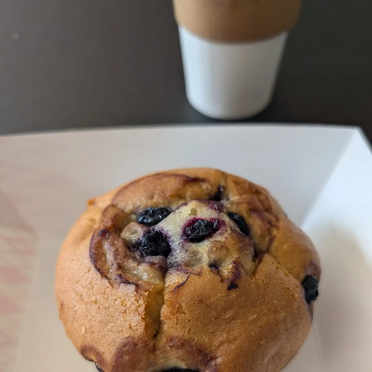 Blueberry Muffin