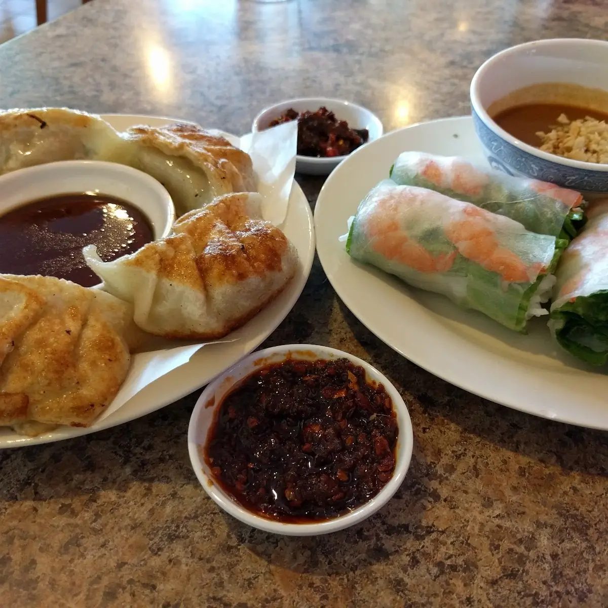 Pot Stickers and Spring Rolls