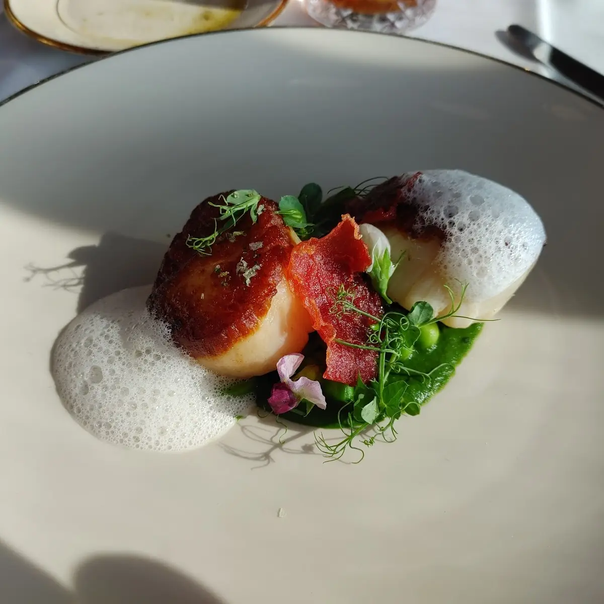 Massachusetts Sea Scallops