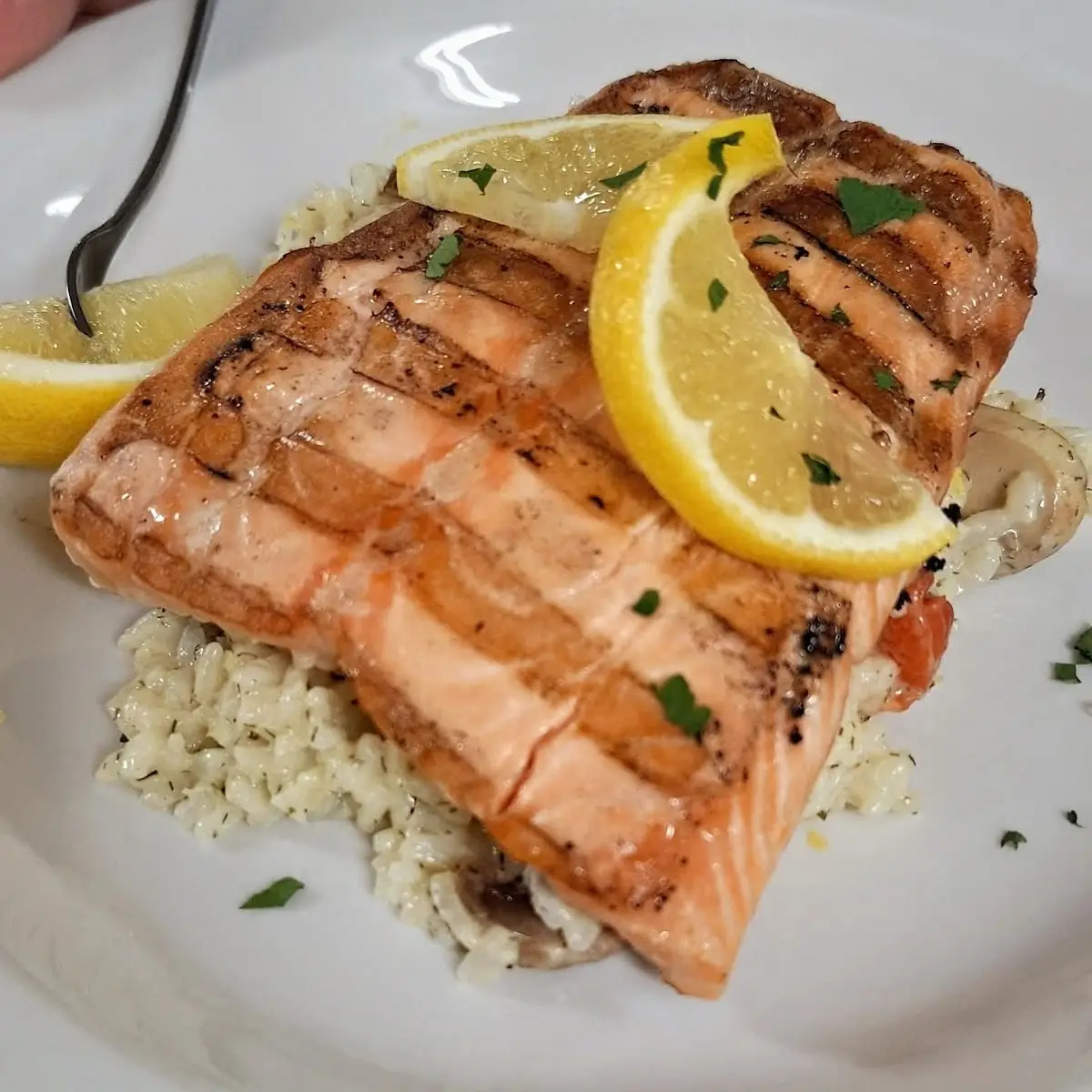 Grilled Salmon