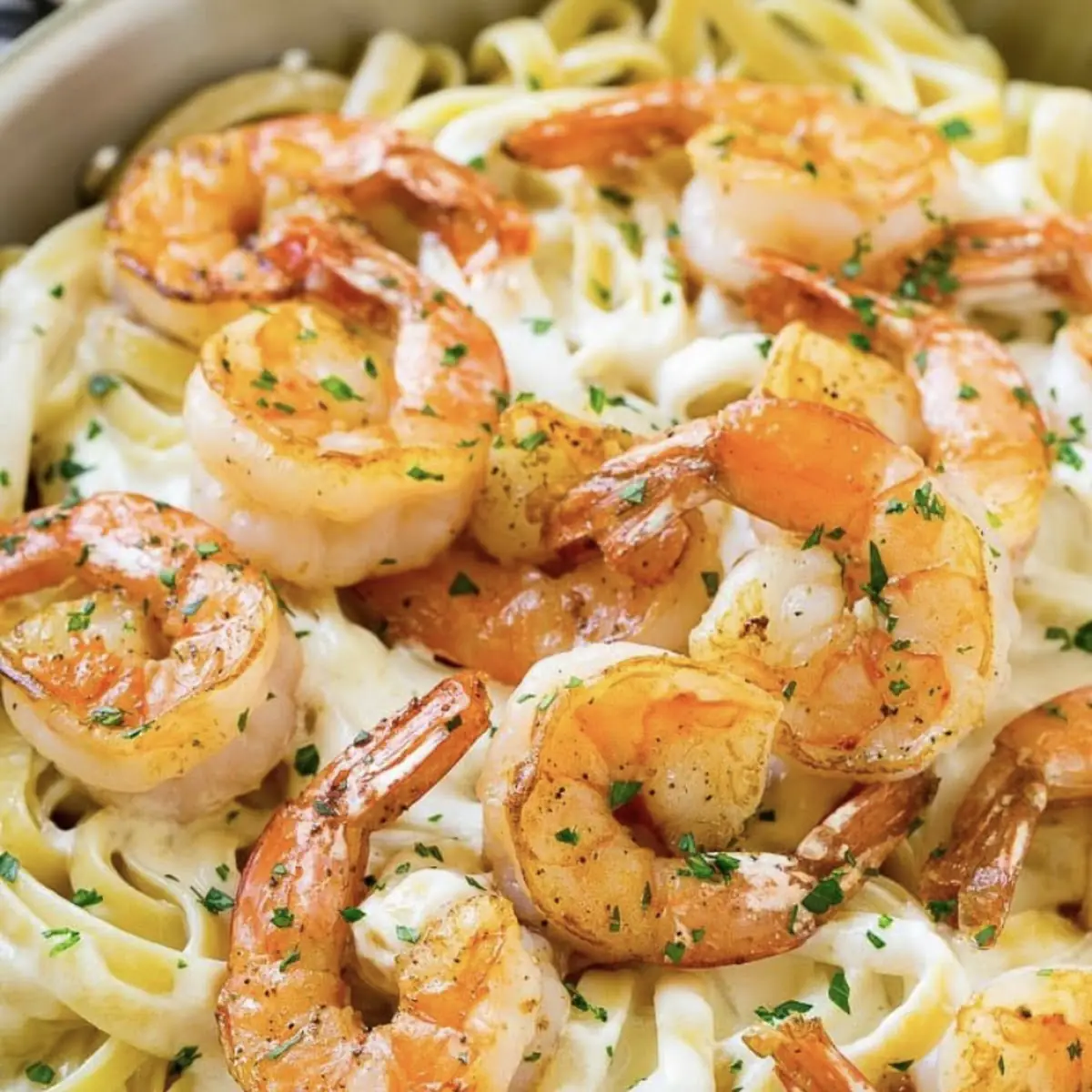 Spaghetti Alfredo Pasta