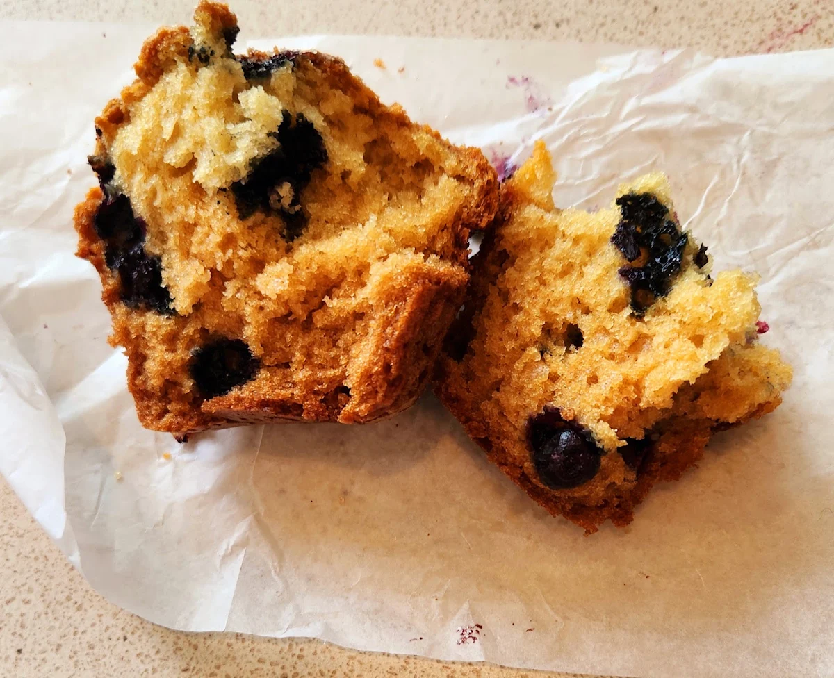 Blueberry Muffin