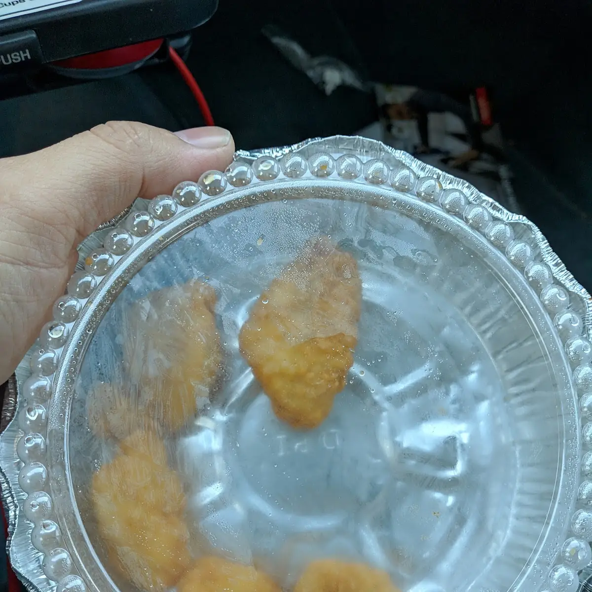 Real Wings