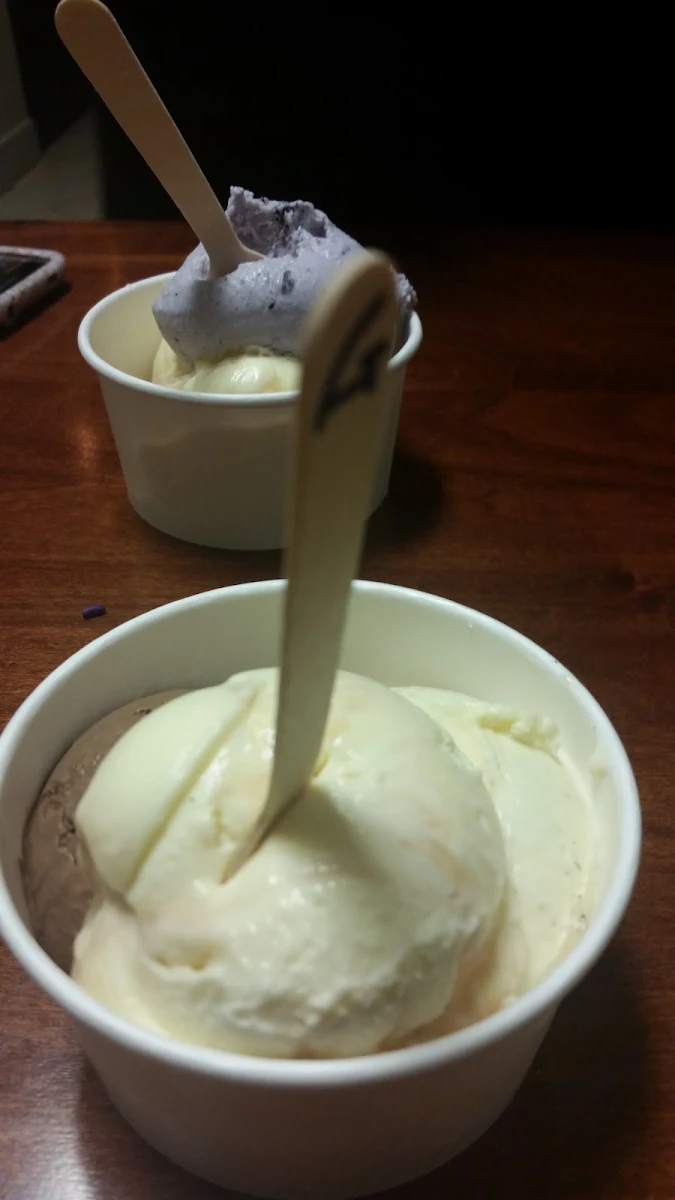 Vanilla Ice Cream