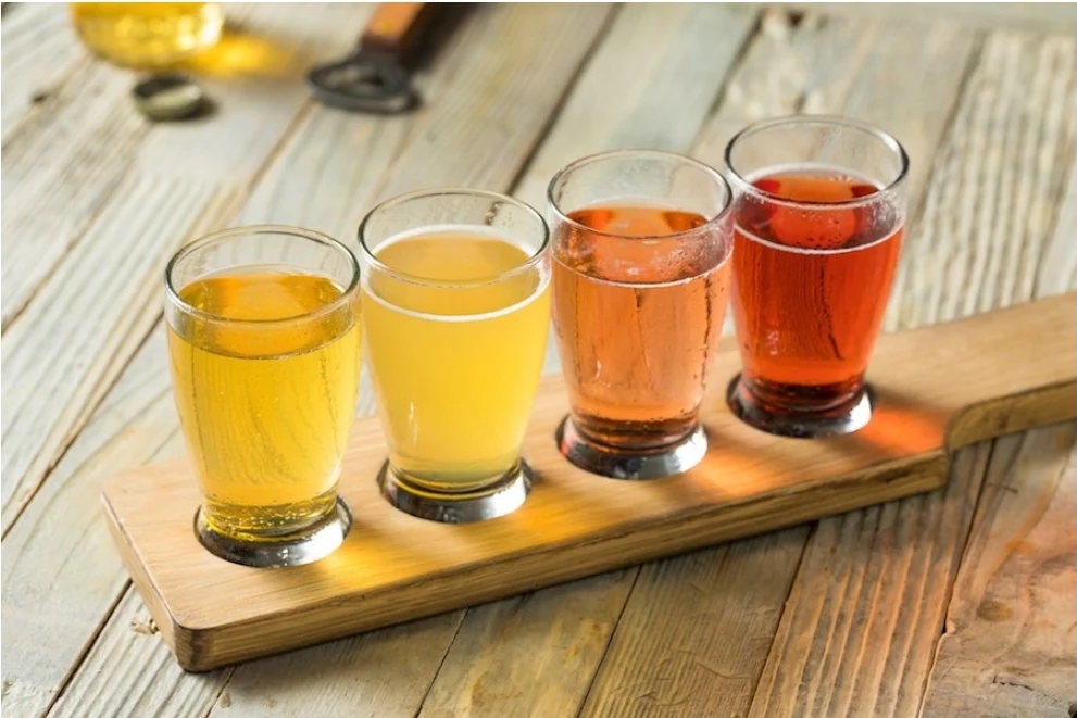 The Cider, The Cider House