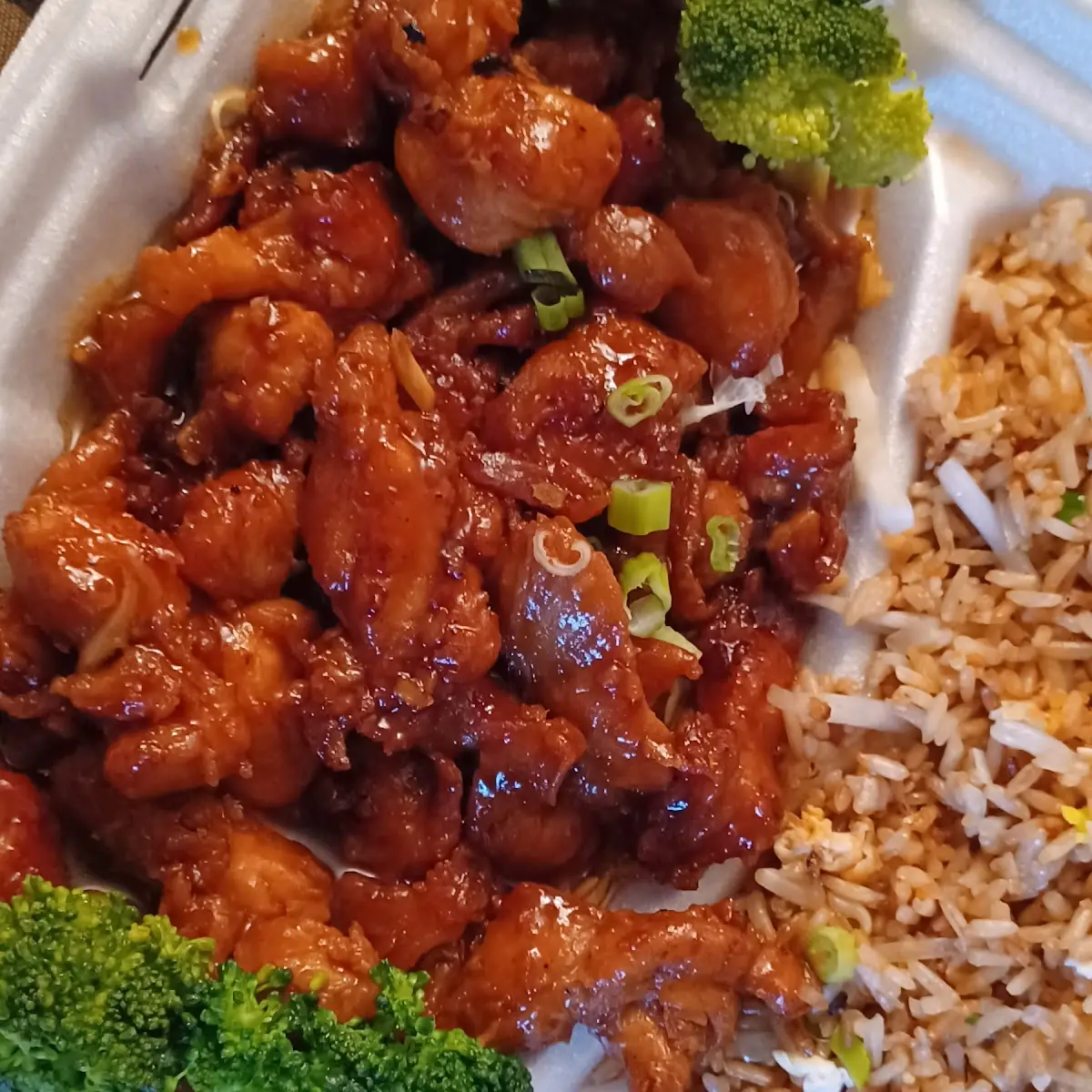 Teriyaki Chicken