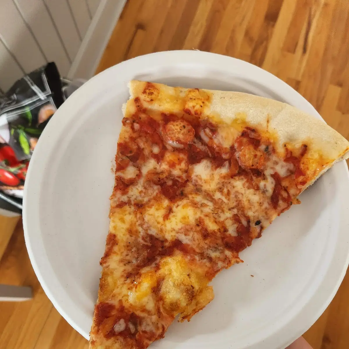 Plain Cheese Pizza