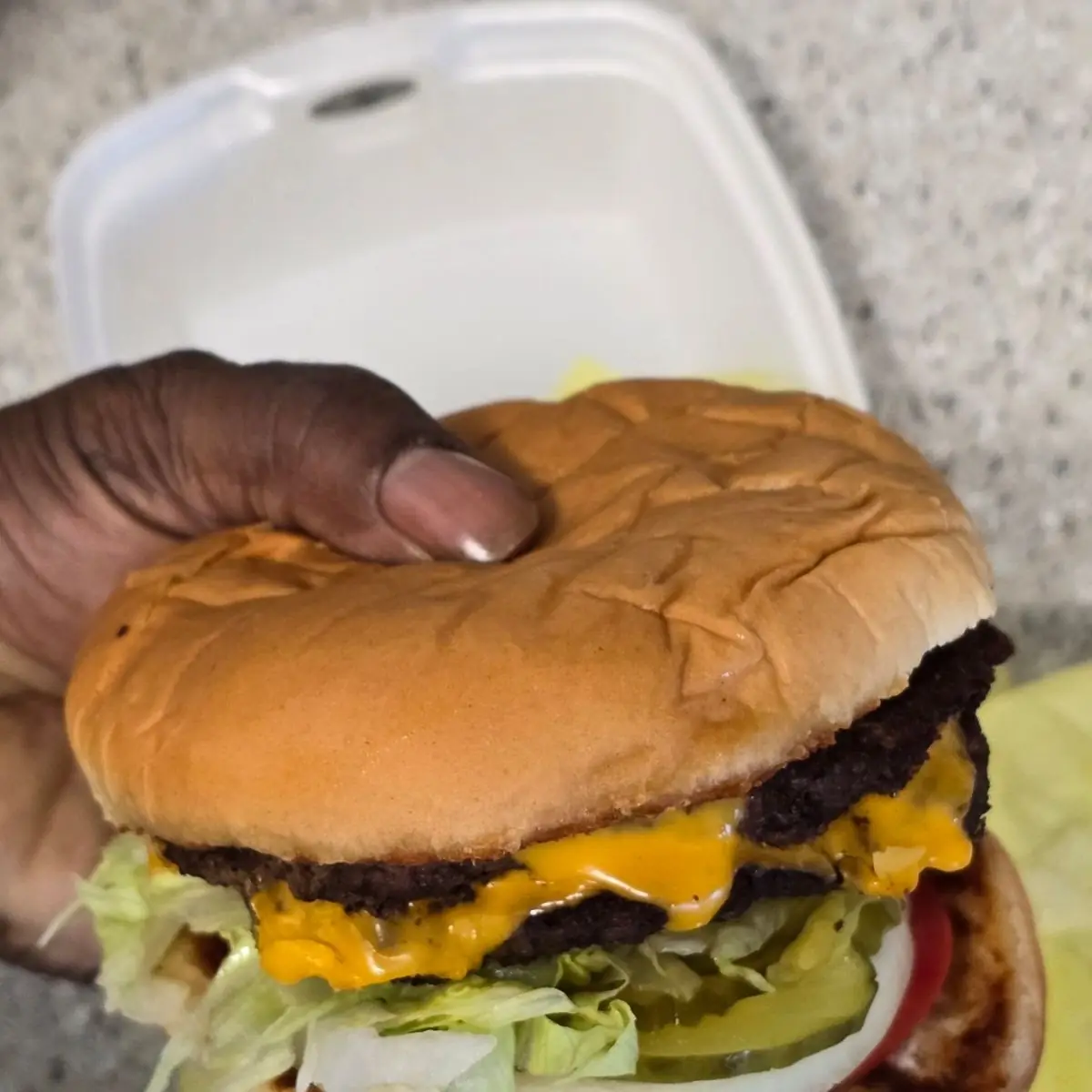 Swiss Mushroom Burger
