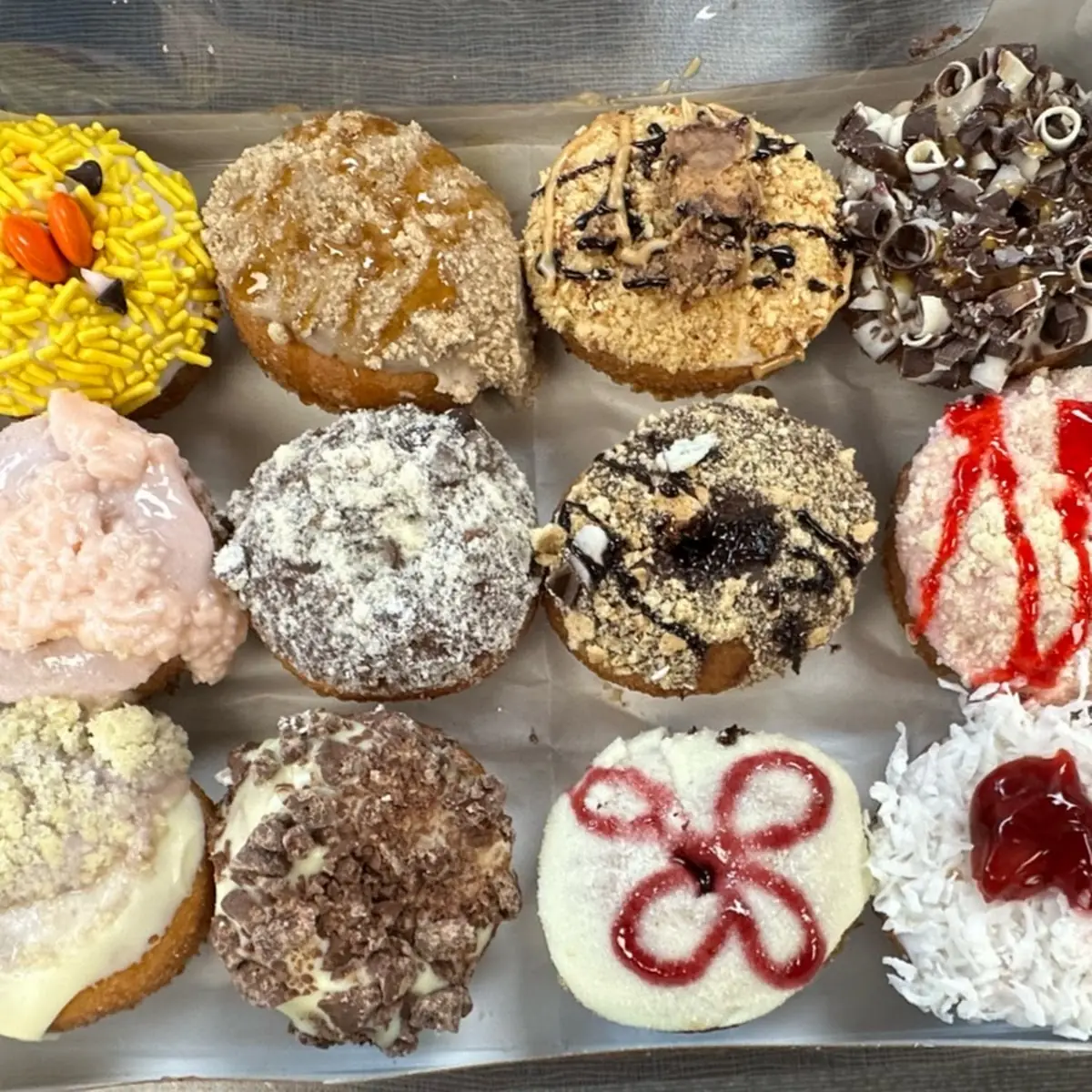 Doughnut