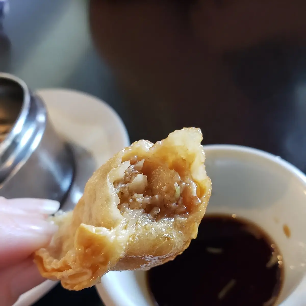 Pan Fried Dumplings