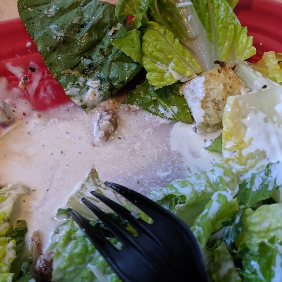 Chicken Caesar Salad