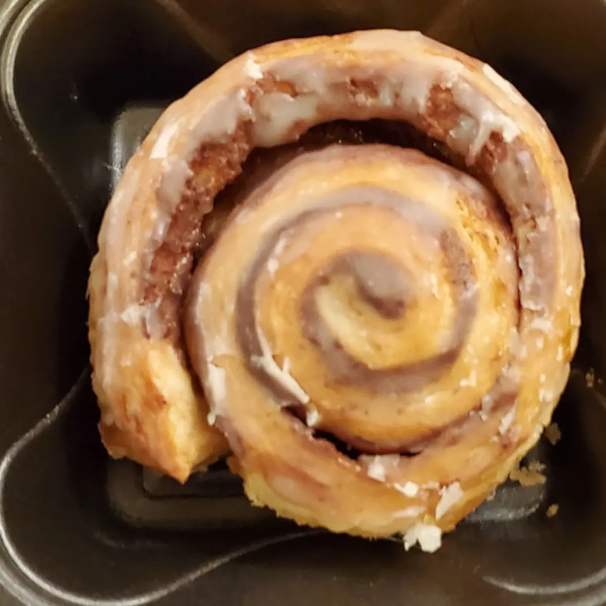 Cinnamon Roll