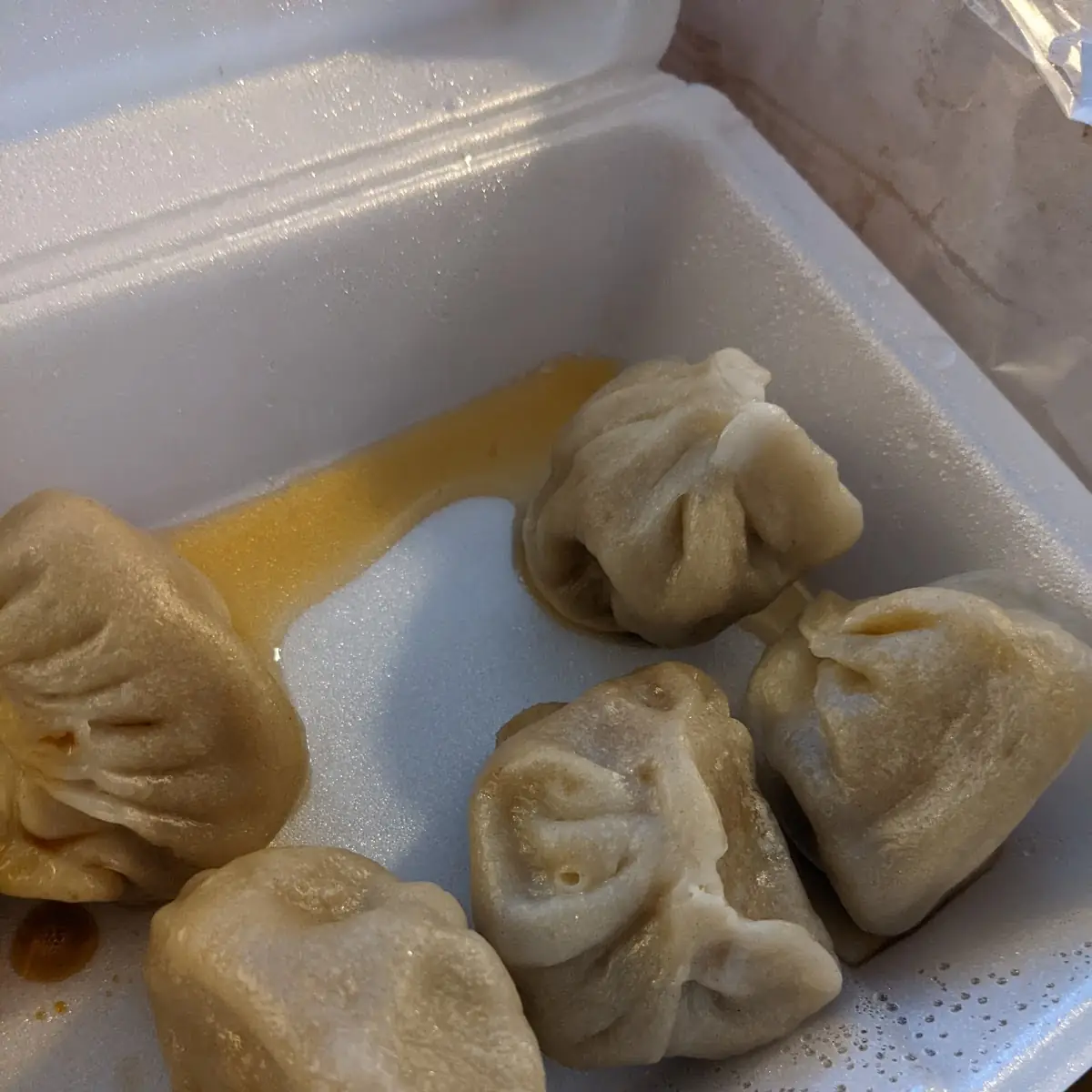 Fried or Steamed Dumplings