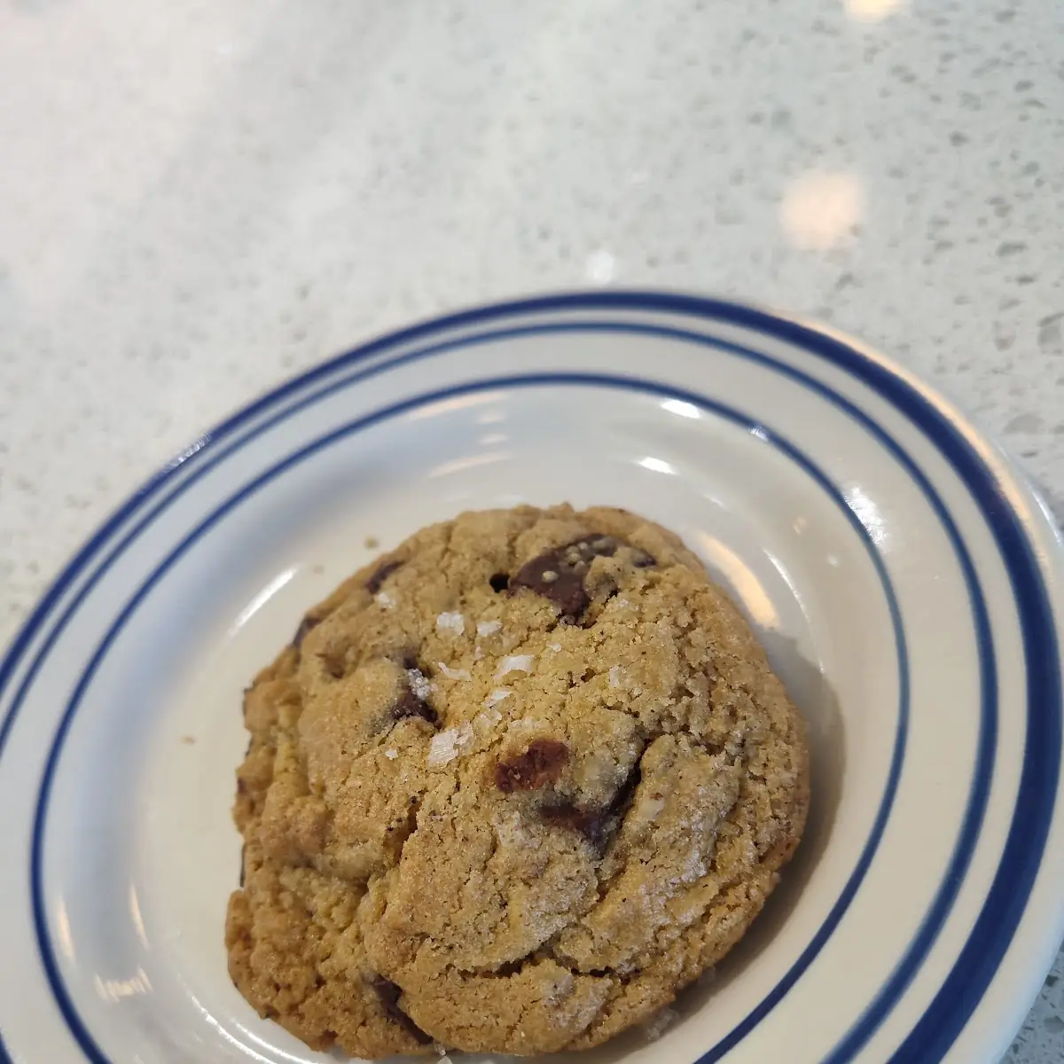 Chocolate Chip Cookie