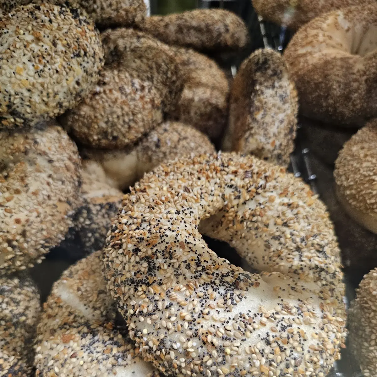 Dozen Bagels
