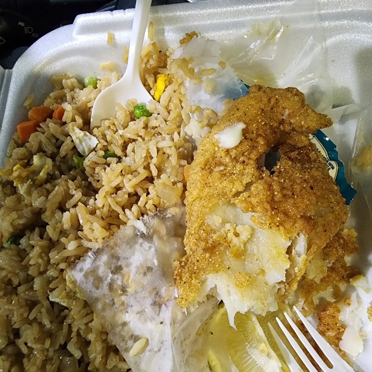 Fried Catfish and Veg Fried Rice