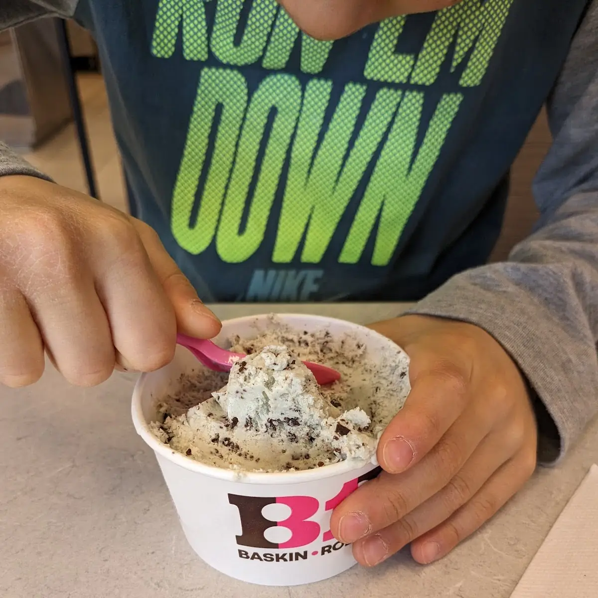 Mint Chocolate Chip