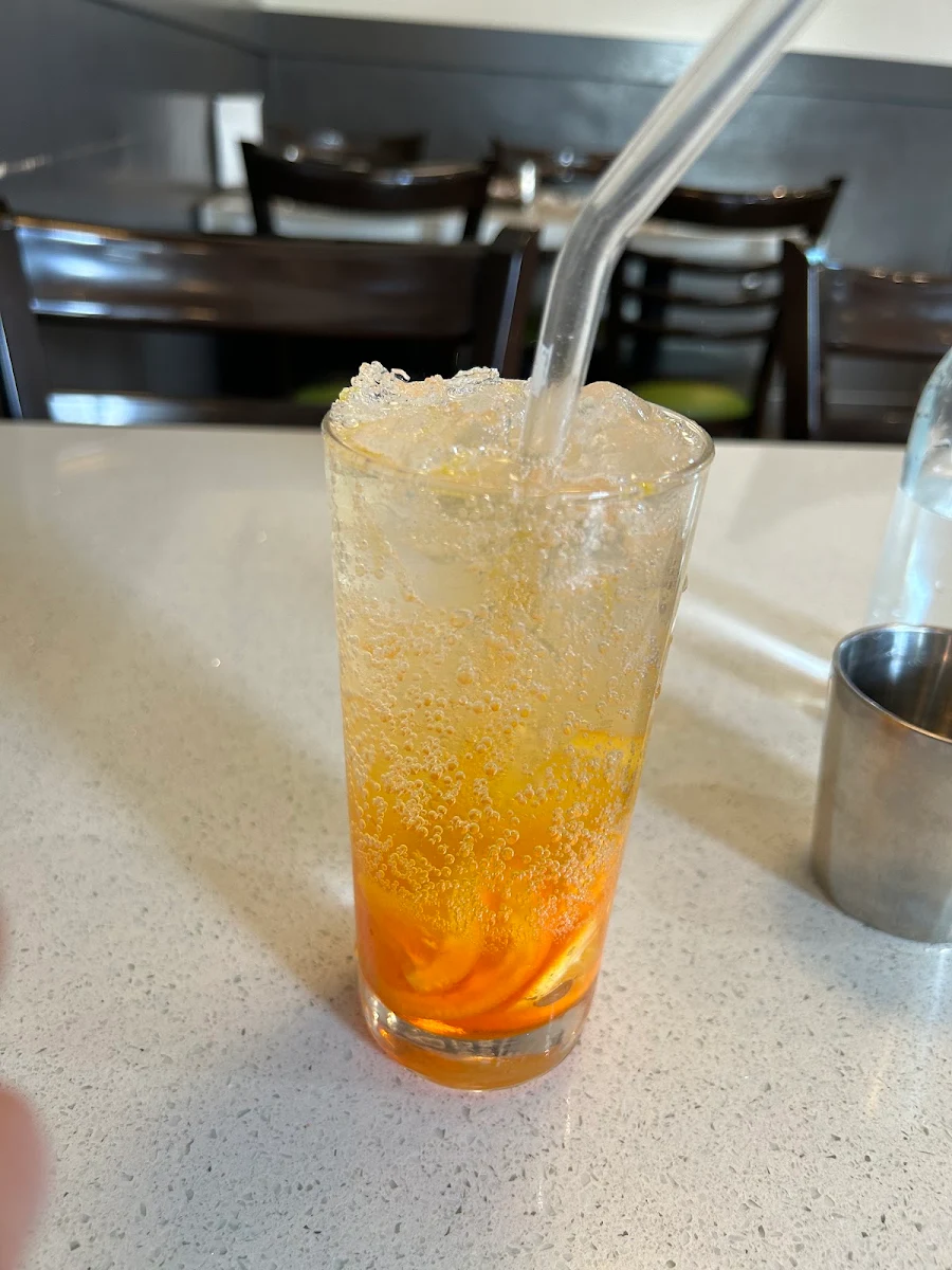 Orange Sparkling Drink