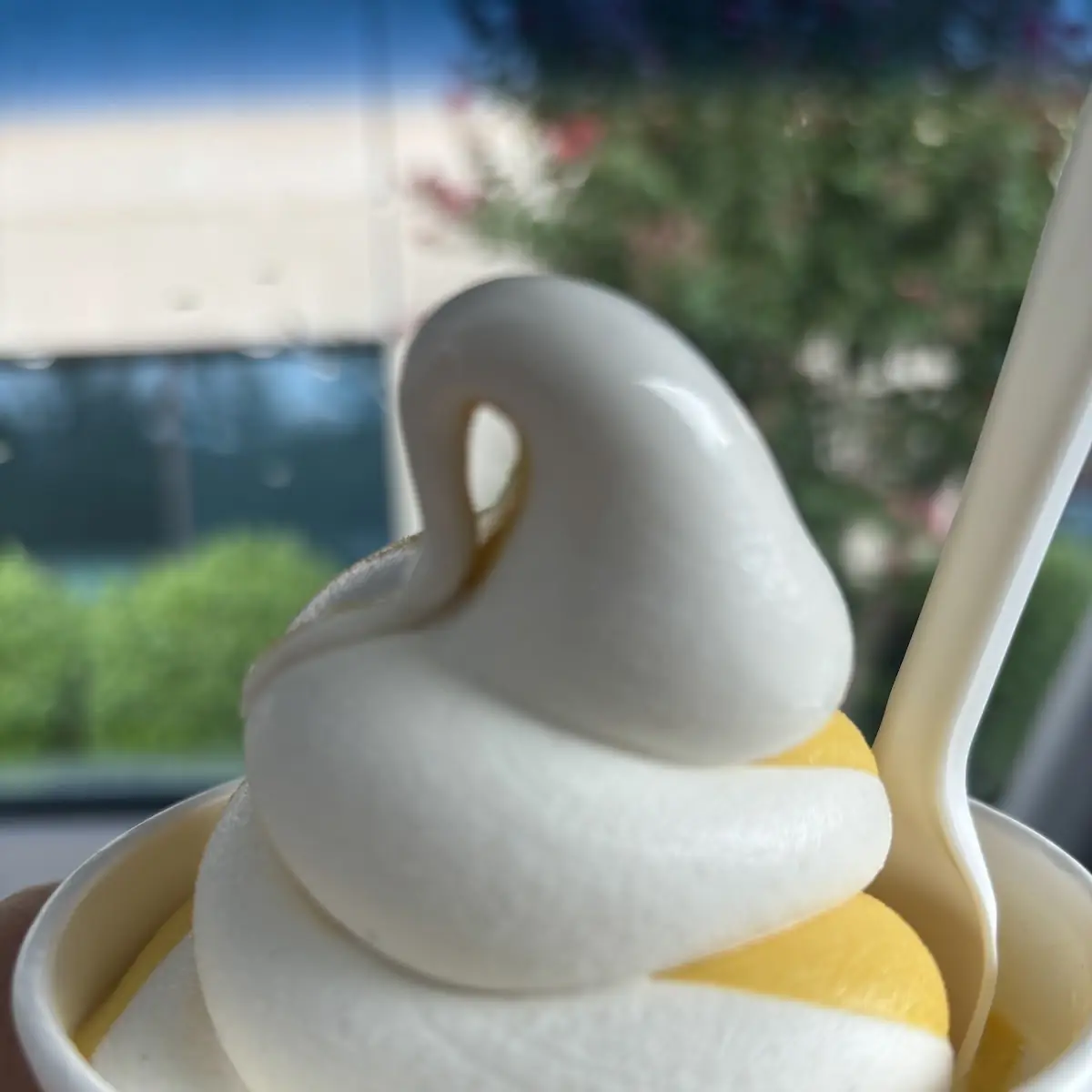 Soft serve - vanilla - pint