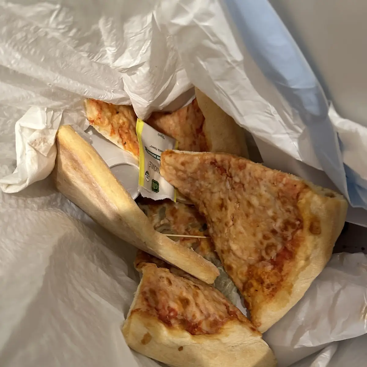 Plain Pizza Slice