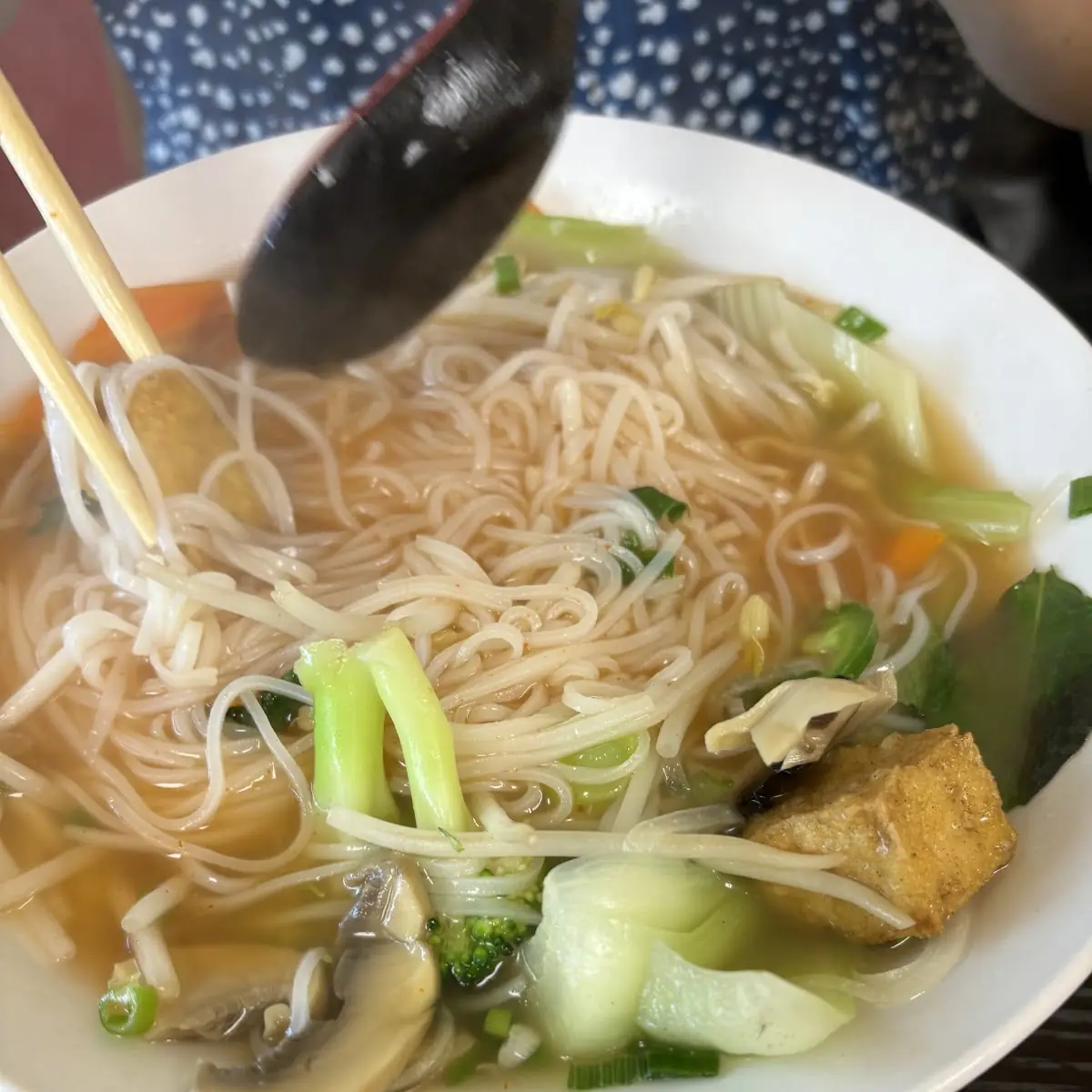 Veggie Pho