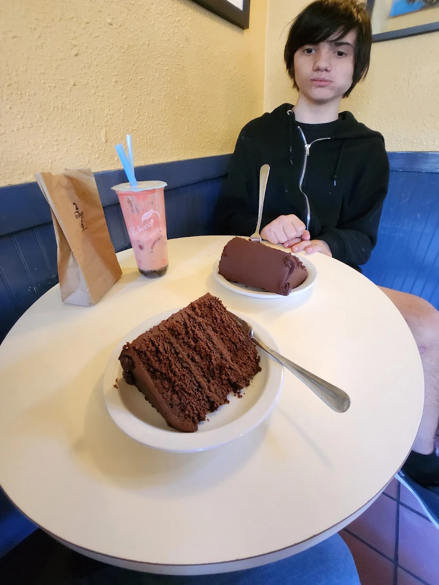 Chocolate Cake Slice