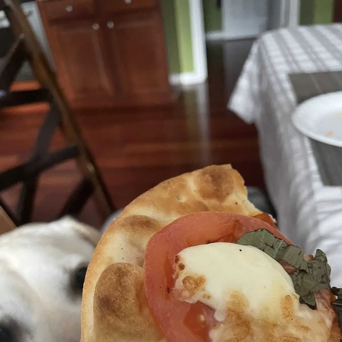 Margarita Pizza