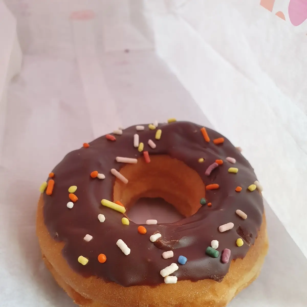 Chocolate Frosted Donut with Sprinkles