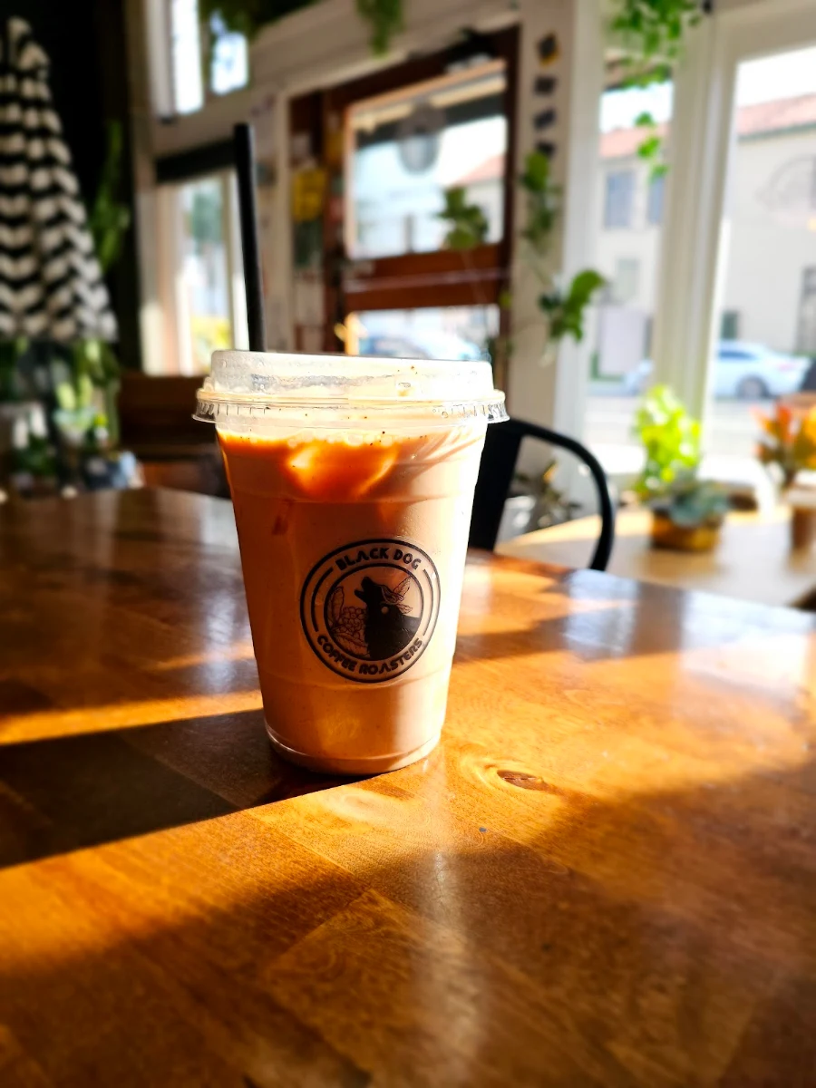 Iced Mocha