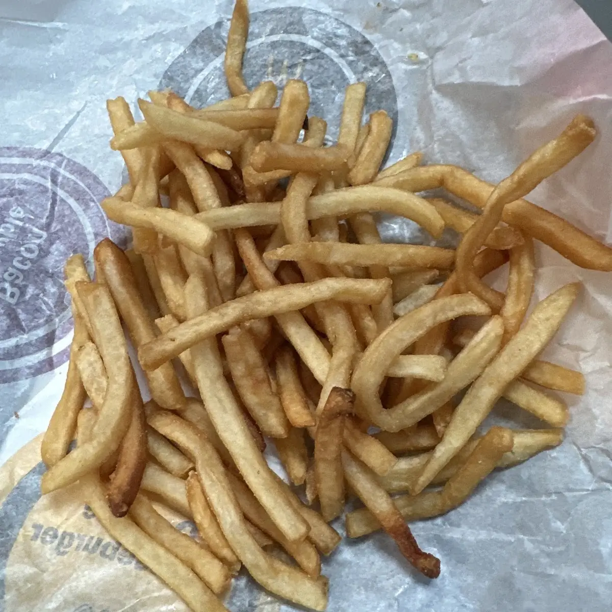 World Famous Fries