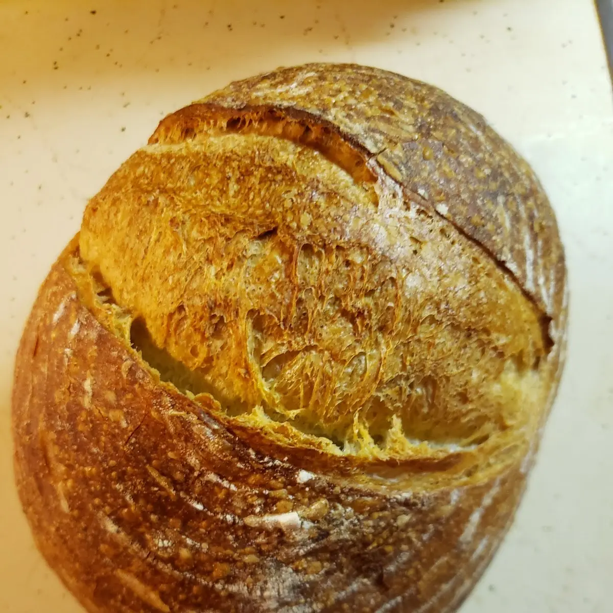 Sourdough