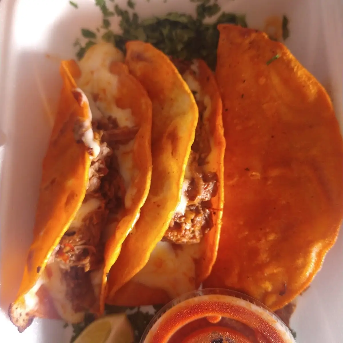 Quesabirria Tacos