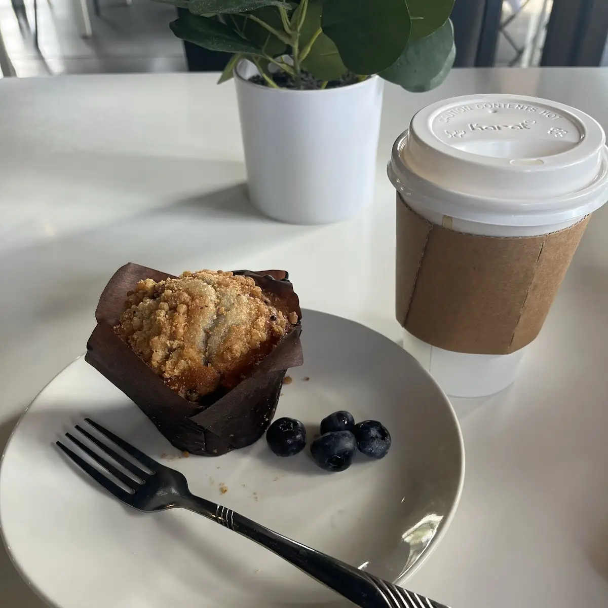 Blueberry Muffin