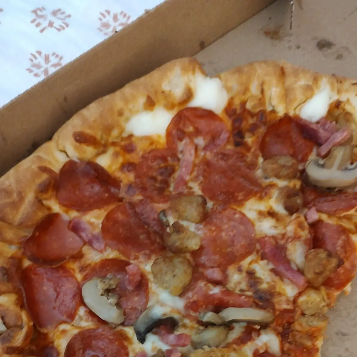 Meat Pizza