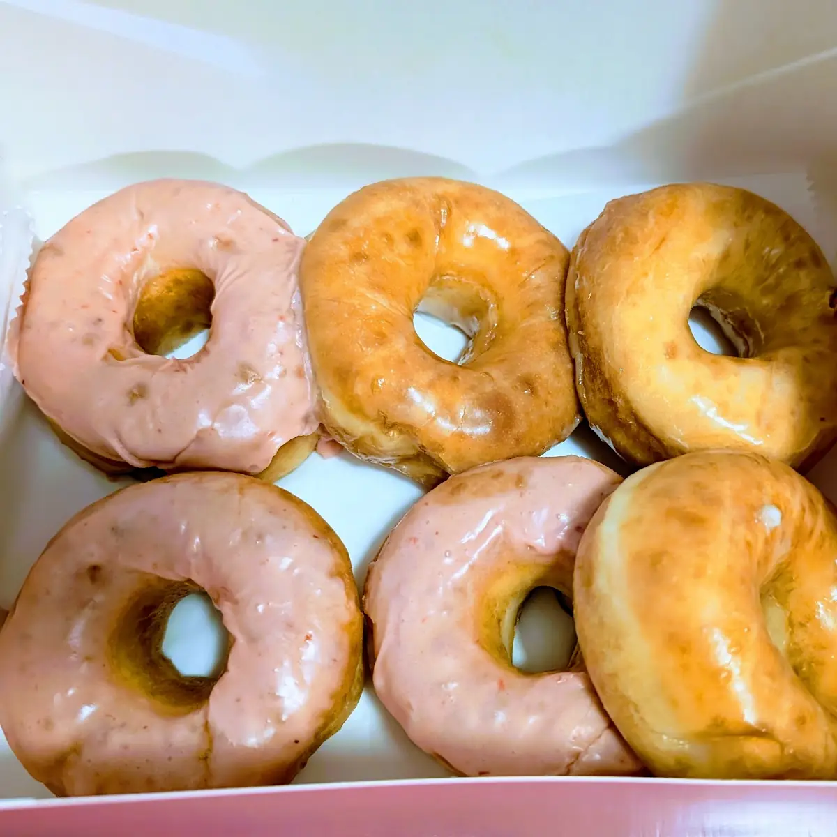 Doughnut