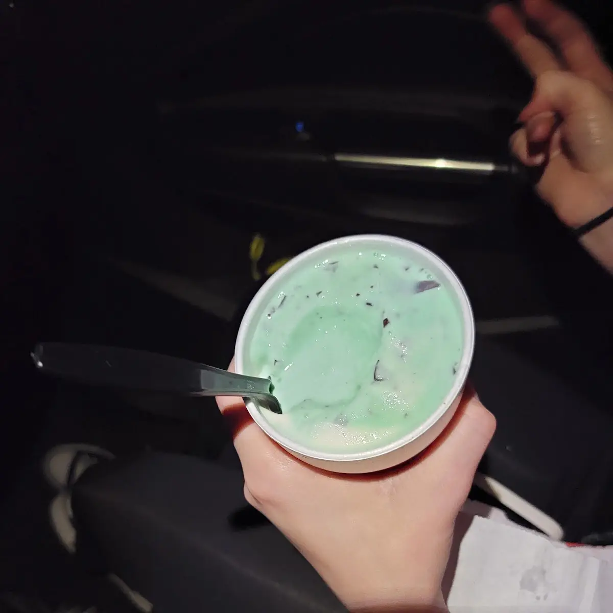 Chocolate Chip Mint