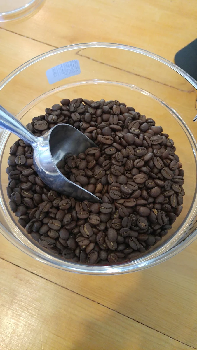 Chocolate Chip