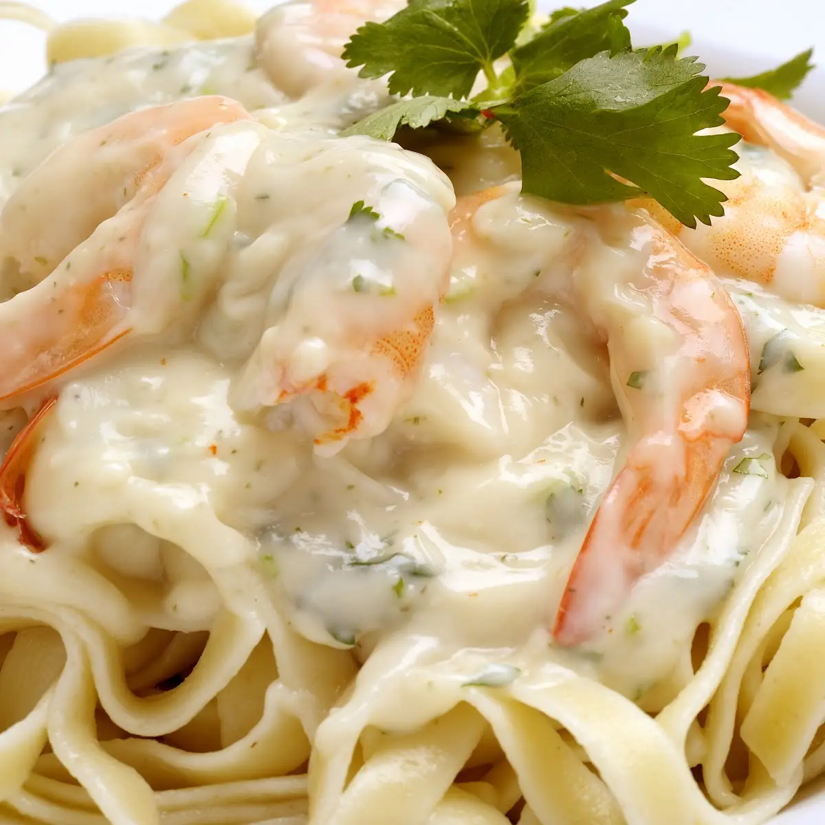 Shrimp Fettuccine Alfredo Pasta