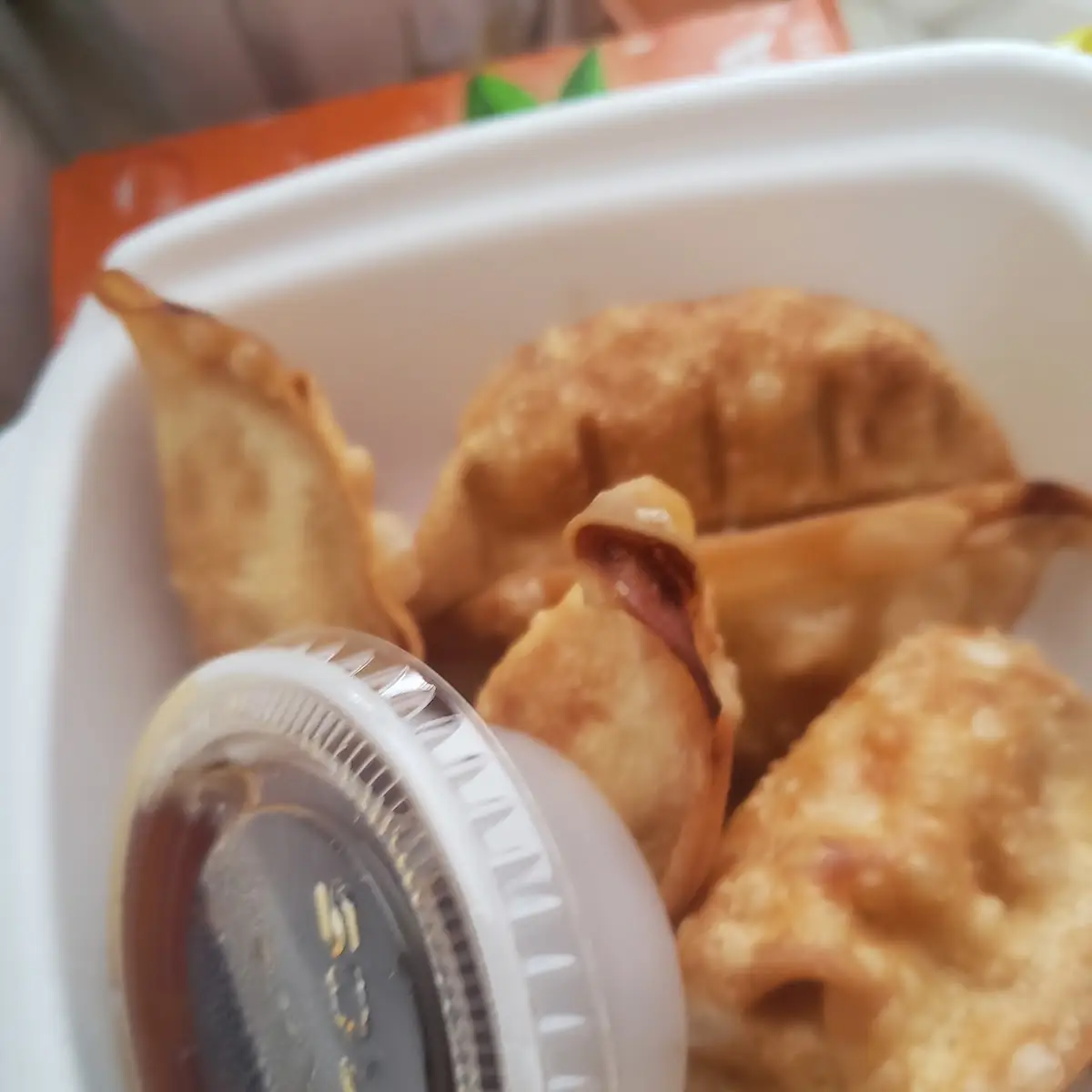 Fried Dumplings