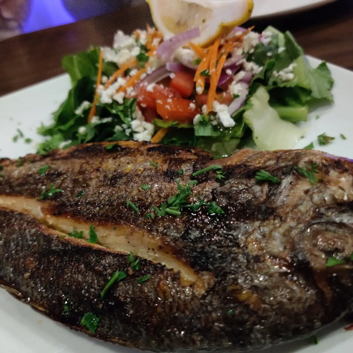 Sea Bass