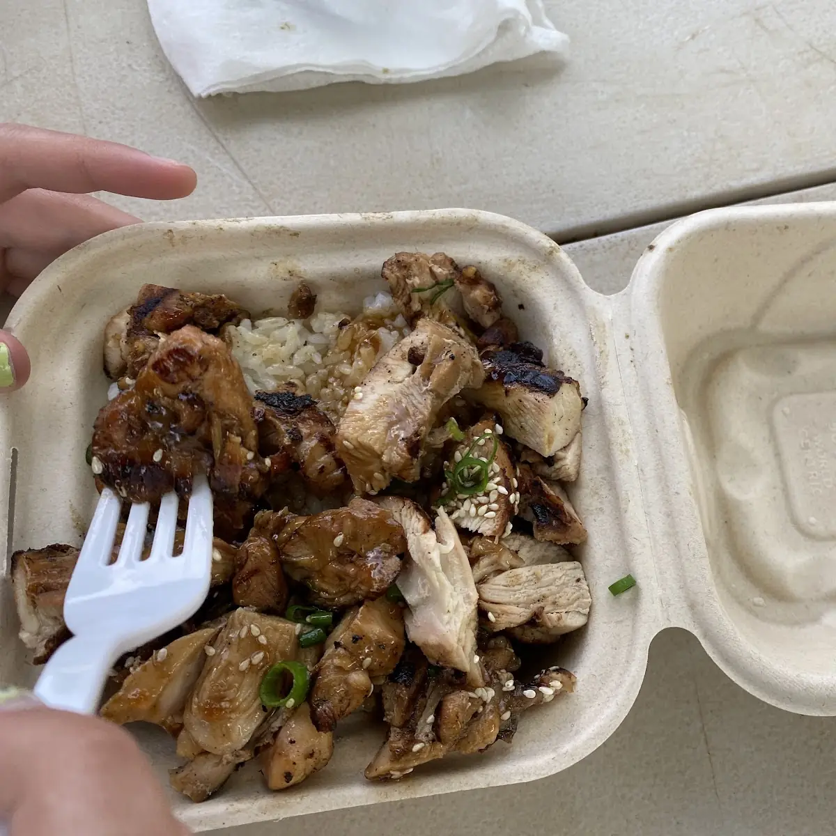 Teriyaki Chicken